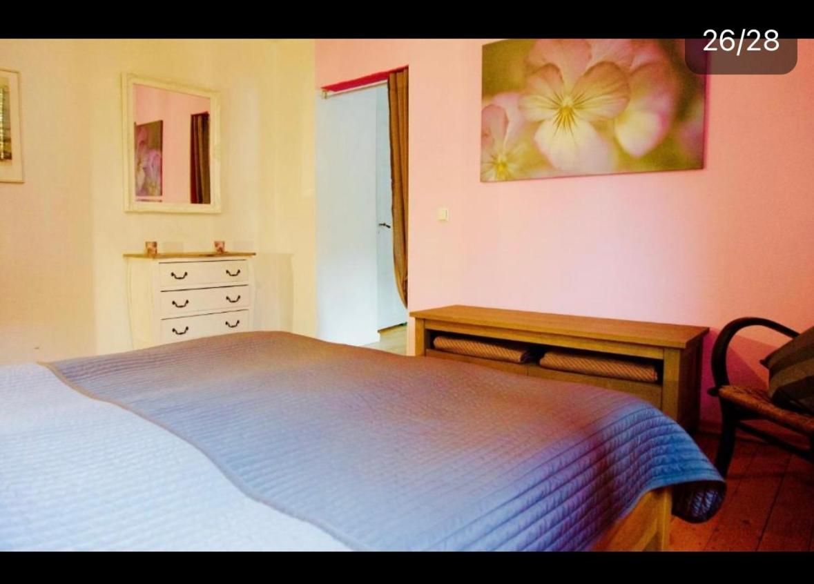 טראבן-טרארבאך Apartment Moselblick Mit Kamin מראה חיצוני תמונה